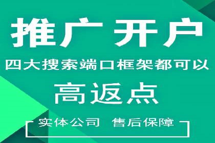 专业SEM托管助力企业快速成长案例分析